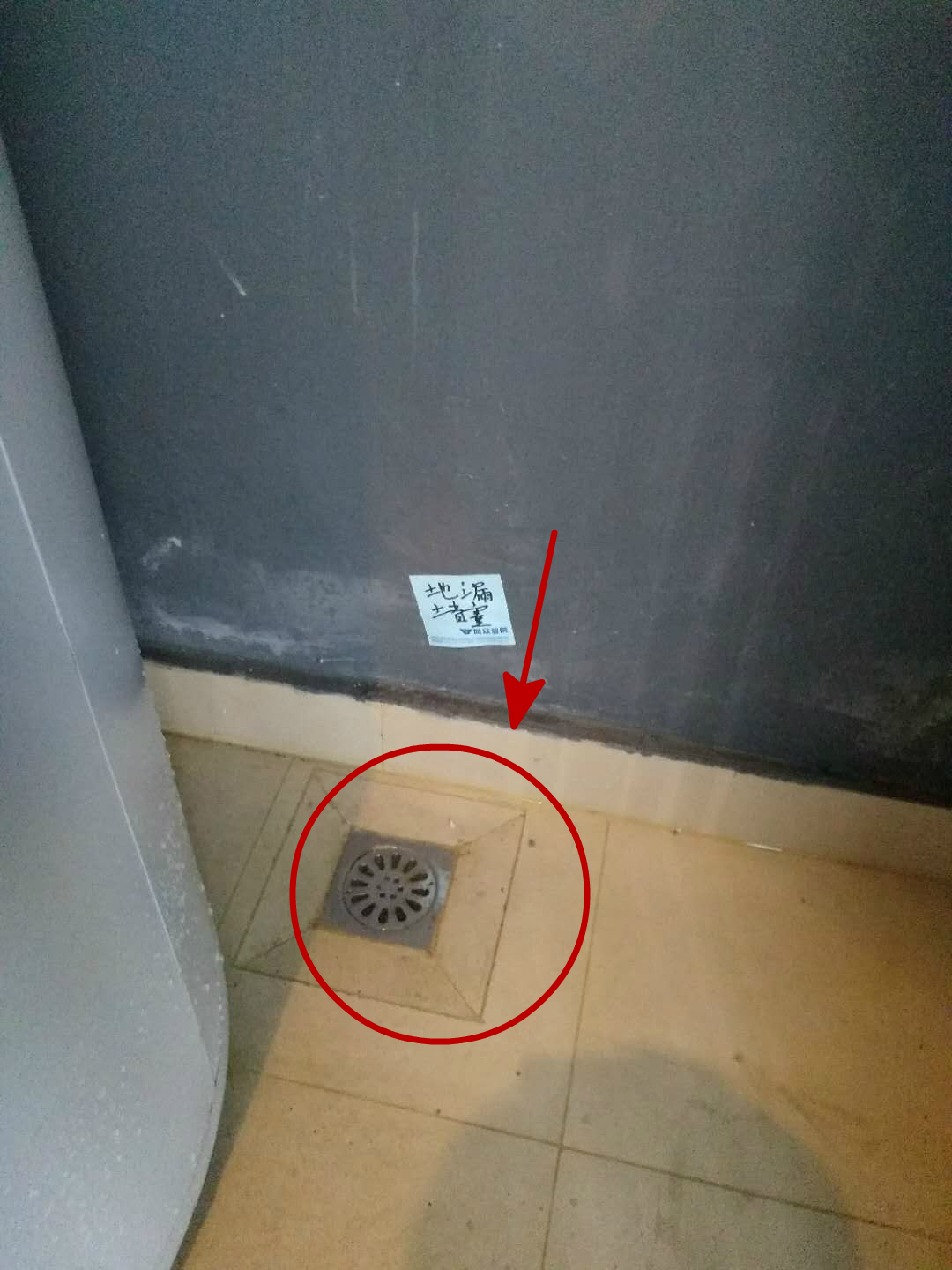 817006986754903438.jpg