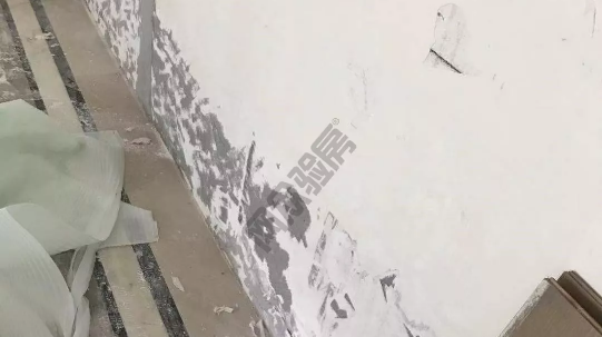 验房