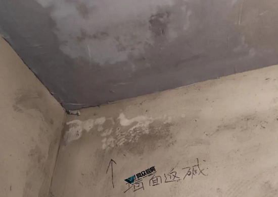 返碱.png