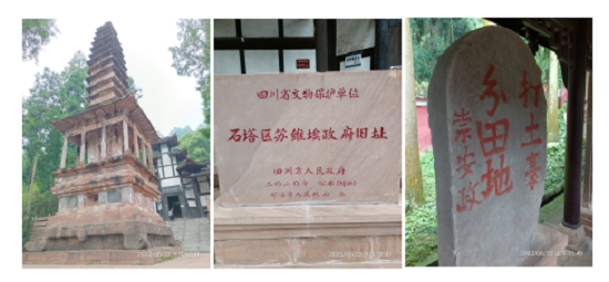 党组织生活.png 党组织生活.png